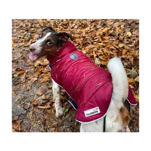 Doodlebone Puffer Jacket Punch & Burgundy Size 3-5