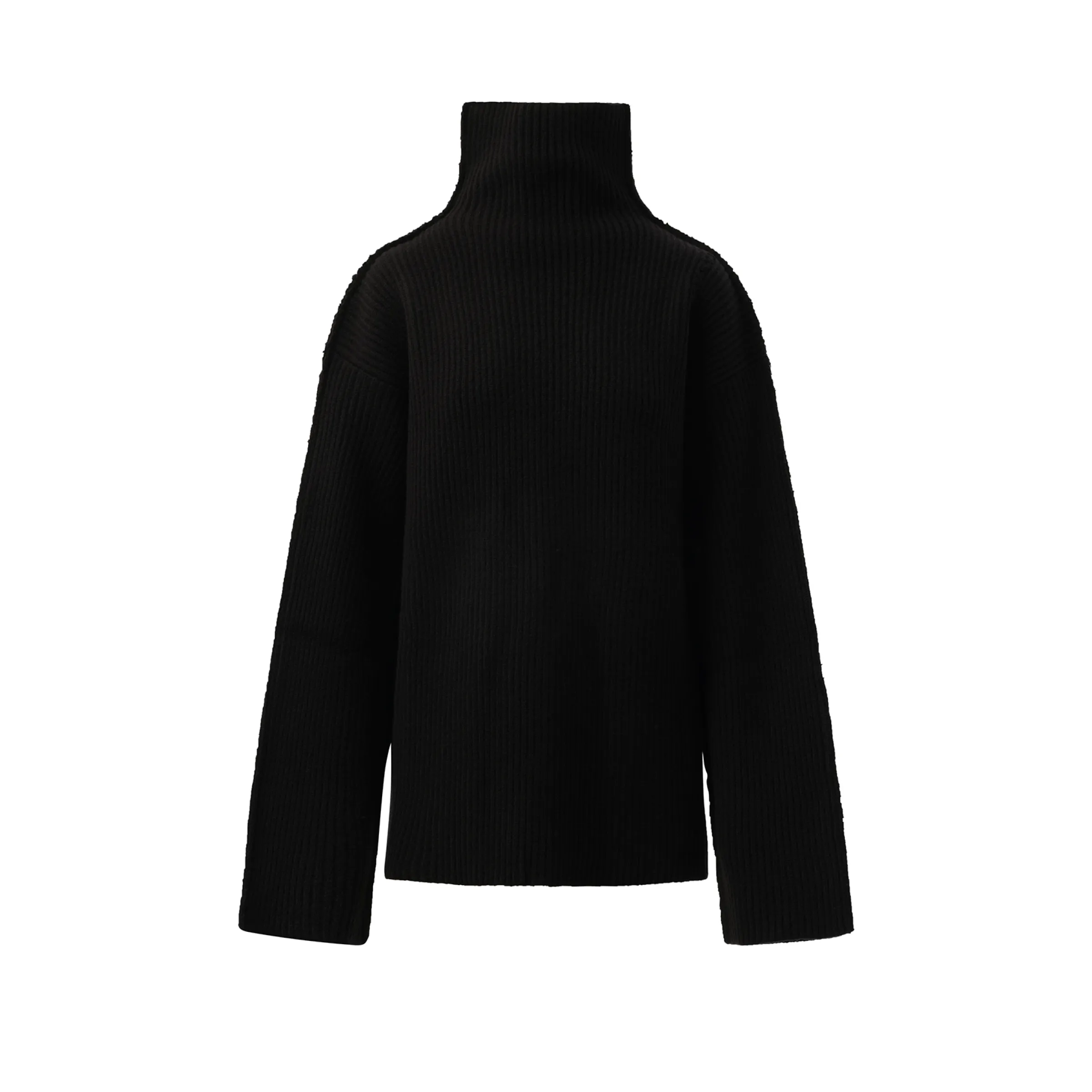 Long Sleeve Turtleneck Sweater in Black